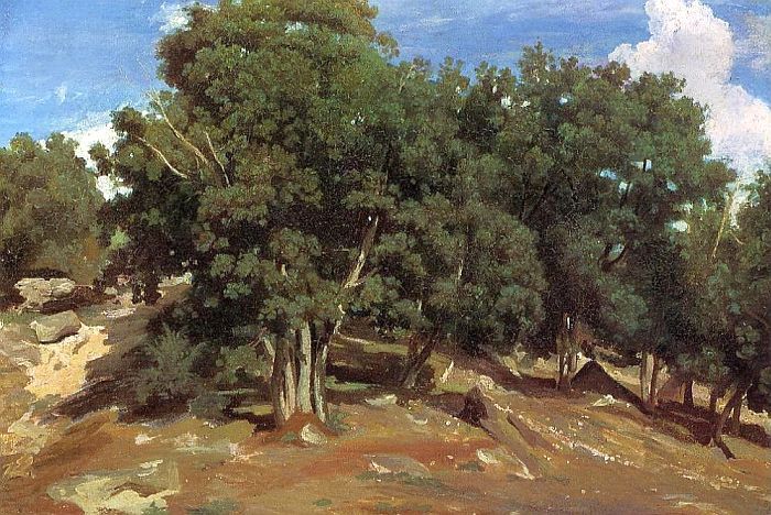 Fontainebleau, les ch&ecirc;nes  noirs  par Camille Corot
