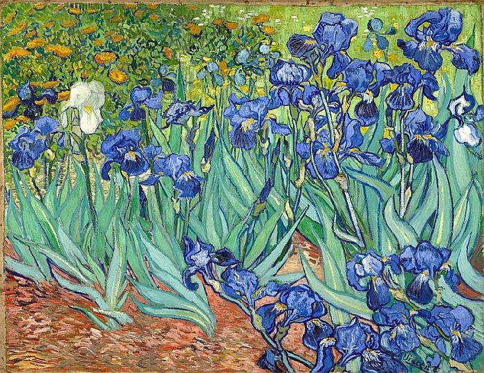 Iris by Van Gogh